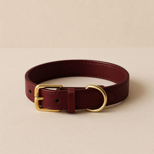 Coleira bordo