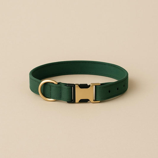 Coleira verde confort