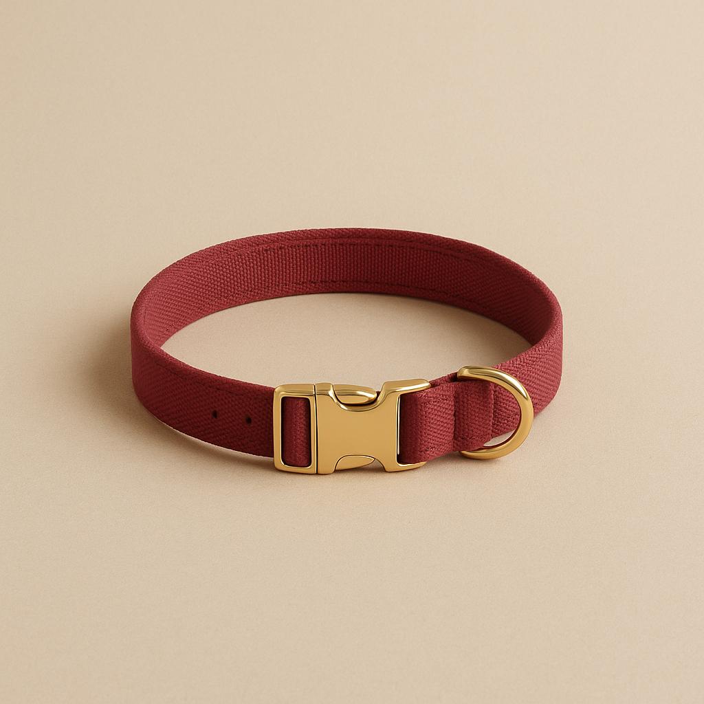 Coleira bordo confort
