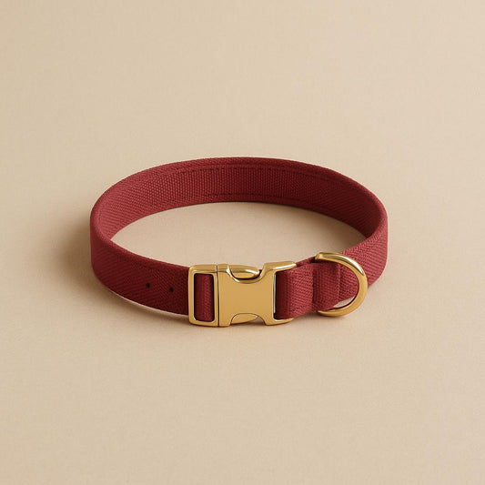 Coleira bordo confort
