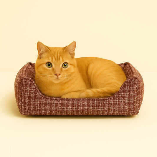 Cama fantasia bordo t.XS