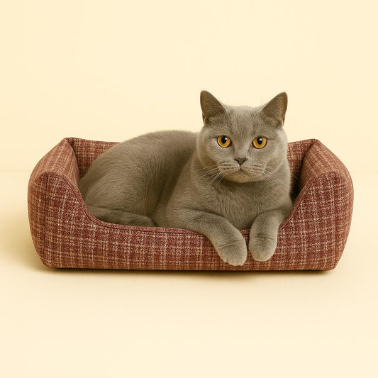 Cama fantasia bordo t.M